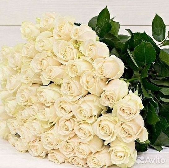 Высокие Розы с Доставкой