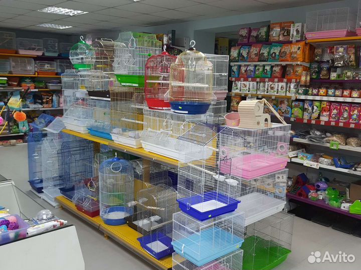 Волнистые попугаи и клетки