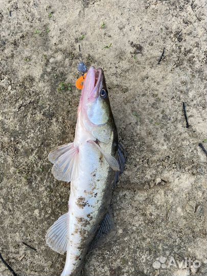 Силиконовая приманки опт и розница Angry Fish