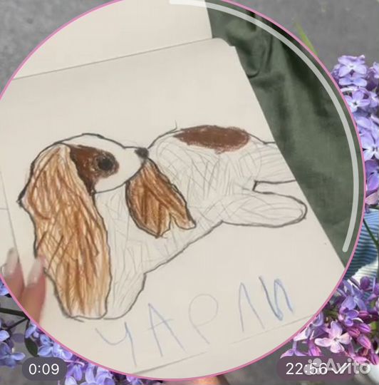 Рисунок вашего питомца