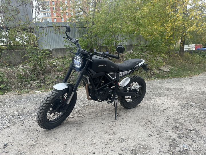 Avantis City 250 птс
