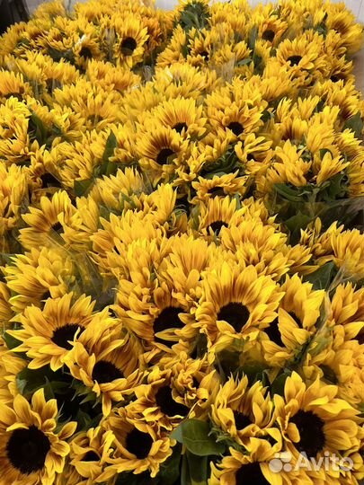 Букет из подсолнухов