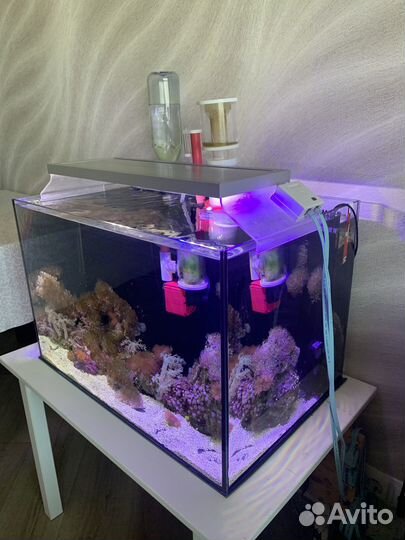 Морской аквариум