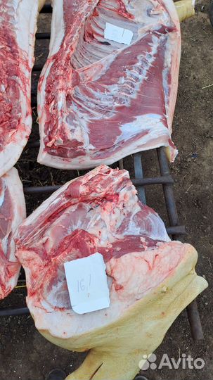 Мясо свинина домашняя