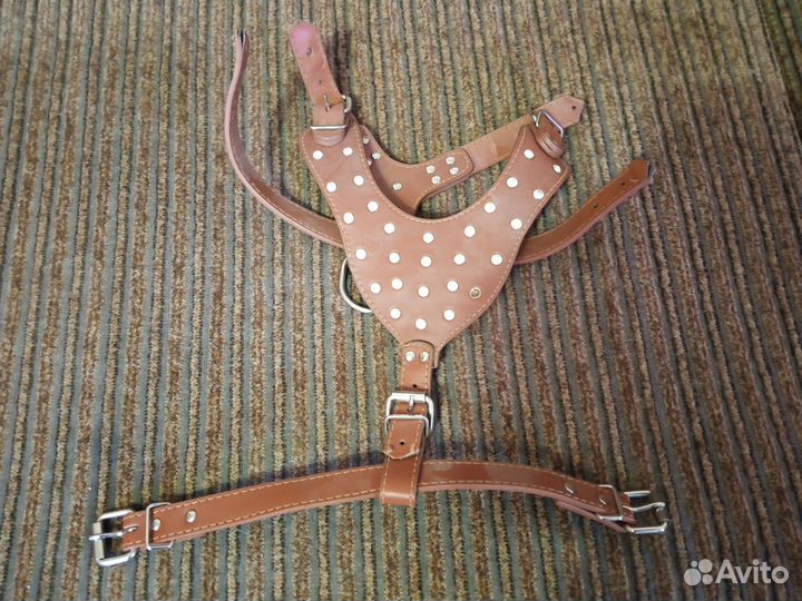 Одежда и амуниция для средней собаки