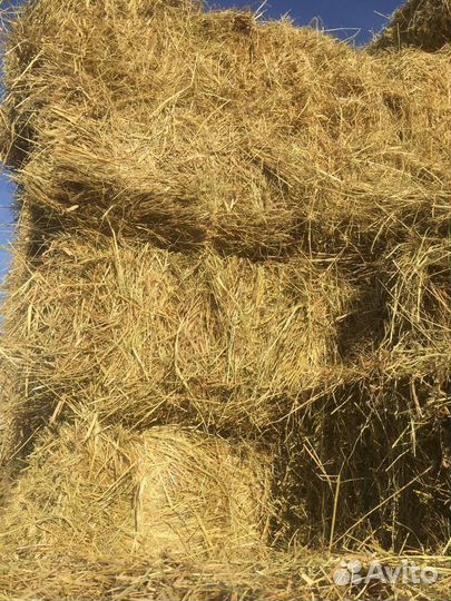 Сено в рулонах опт/Доставка