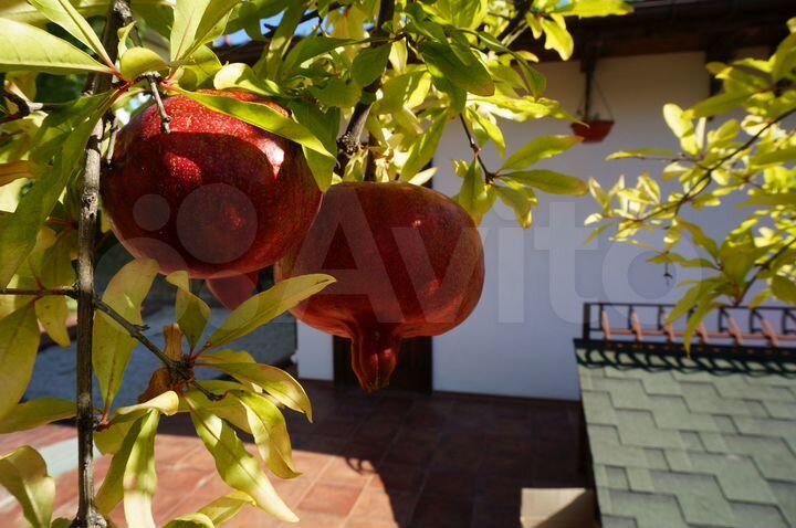 Гостиница, 340 м²