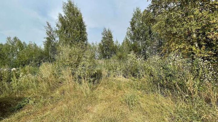 Участок 12,9 сот. (СНТ, ДНП)