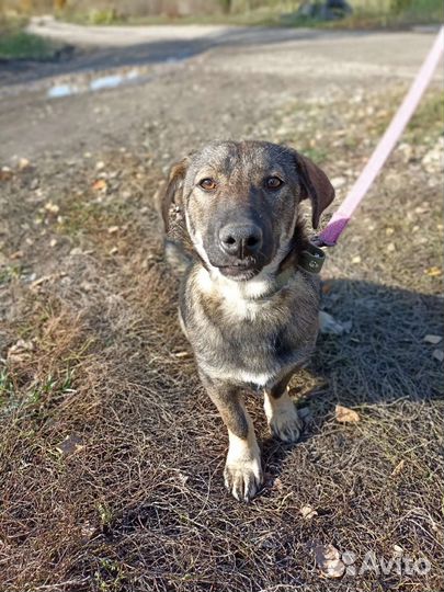 Кора ищет дом