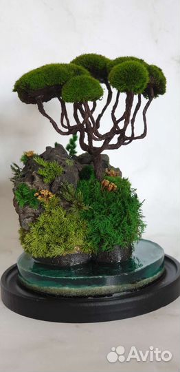 Моссариум. Подарок на день рождения, педагогу