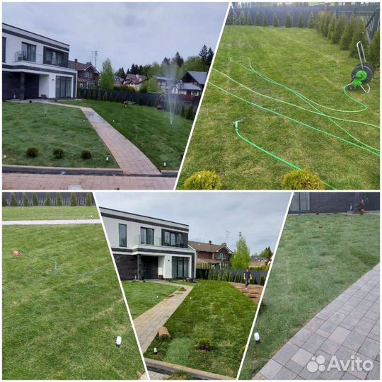 Рудлнный газон с укладкой