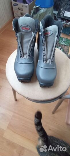 Лыжные ботинки