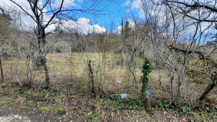 Участок 5,6 сот. (СНТ, ДНП)