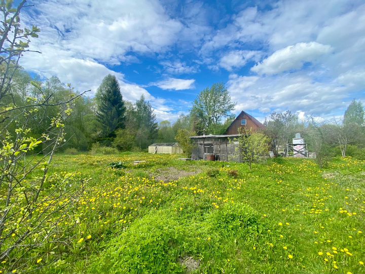 Участок 15 сот. (СНТ, ДНП)