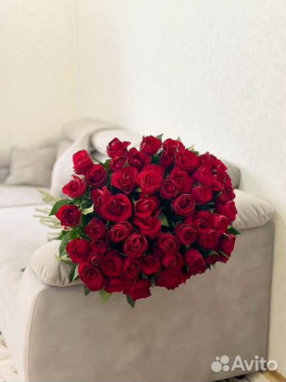 Цветы розы живые