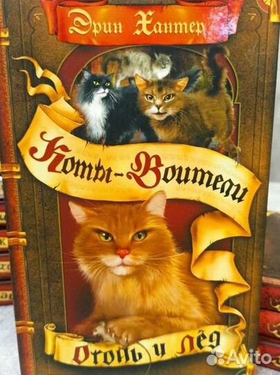 Коты-Воители 