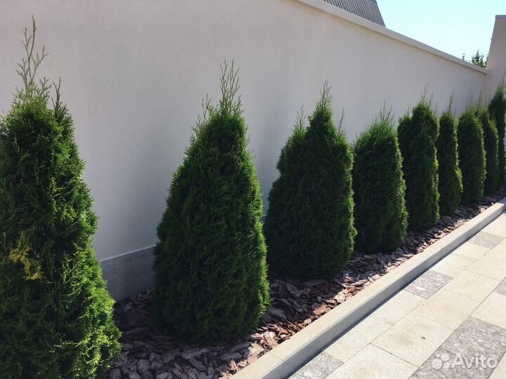 Смарагд премиум качества