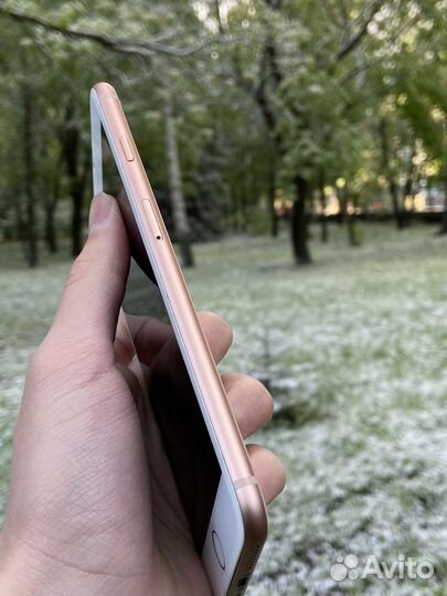 iPhone 8 Plus, 64 ГБ