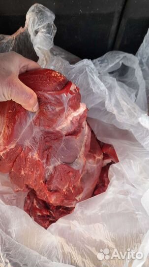 Мясо говядина