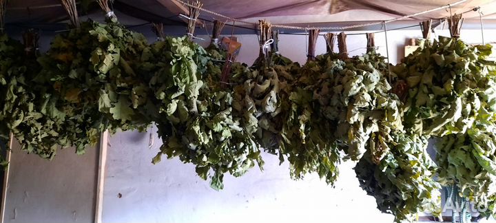 Веники для бани