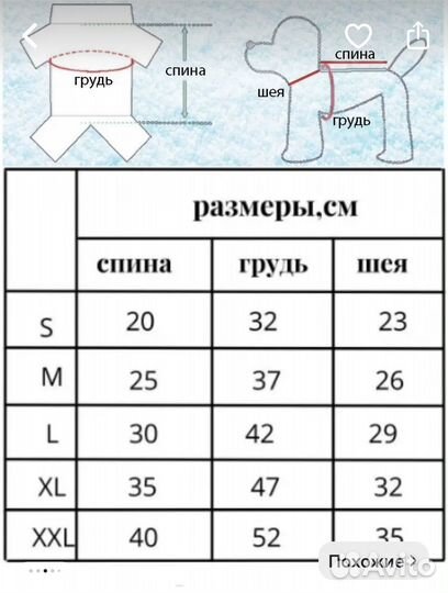 Одежда для собак мелких пород