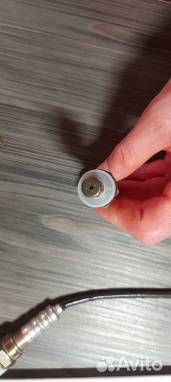 Кислородный датчик (лямбда зонд) 55566648