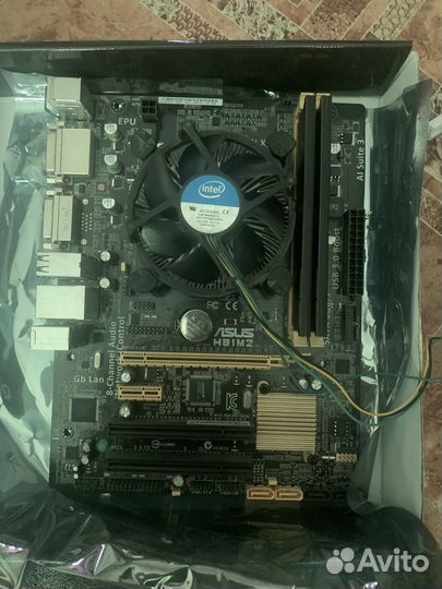 Материнская плата asus h81m2