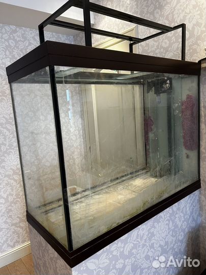 Аквариум пустой