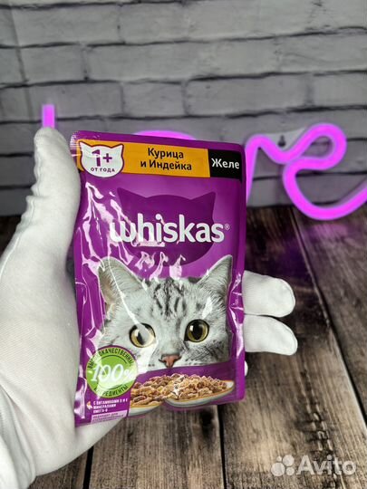 Кошачий корм влажный