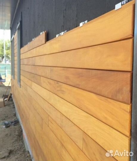 Планкен гарапа PLM-6956