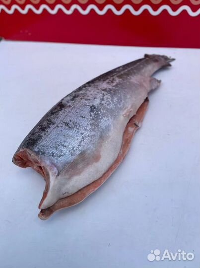 Форель свежемороженная