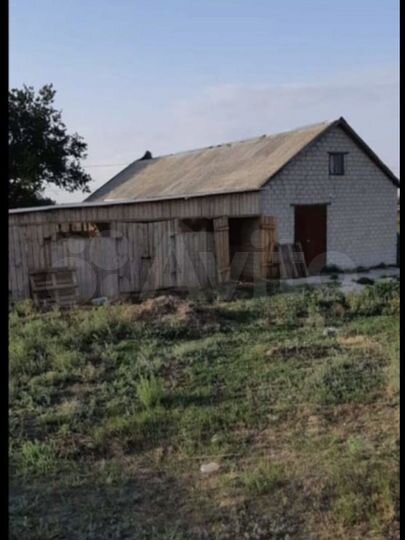 Животноводческая ферма