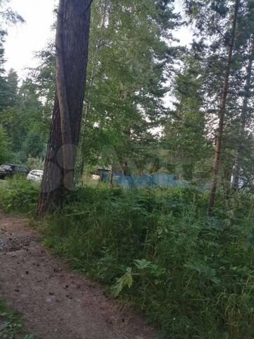 Участок 8 сот. (СНТ, ДНП)