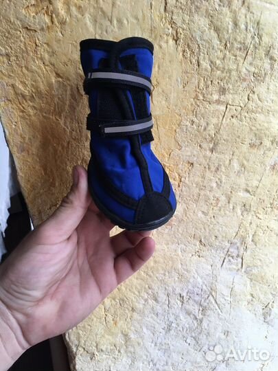 Обувь для собак