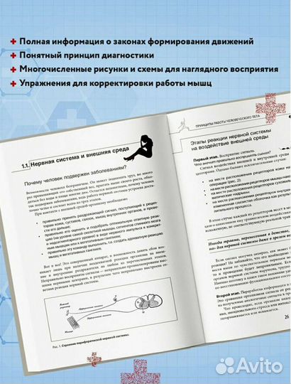 Новая книга прикладная кинезиология