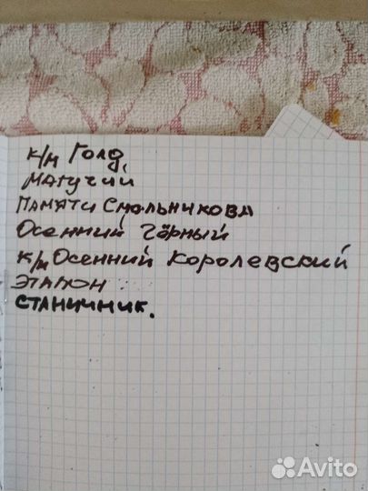 Саженцы винограда