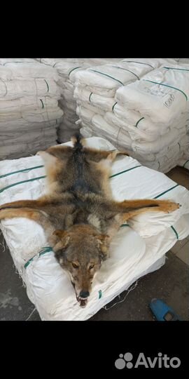 Ковер напольный волк