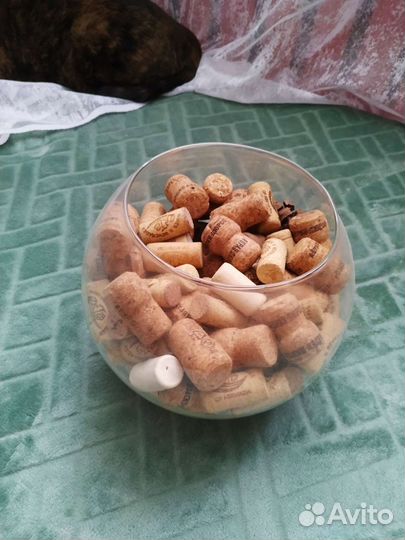 Винные пробки