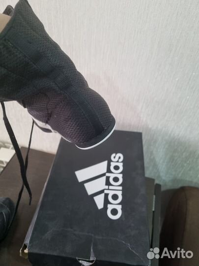 Боксерки adidas box hog 2