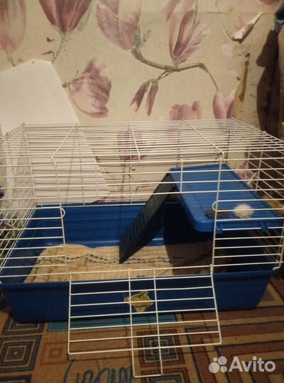 Клетка для декоративного кролика