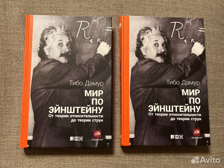 Книга «Мир по Эйнштейну» Тибо Дамур