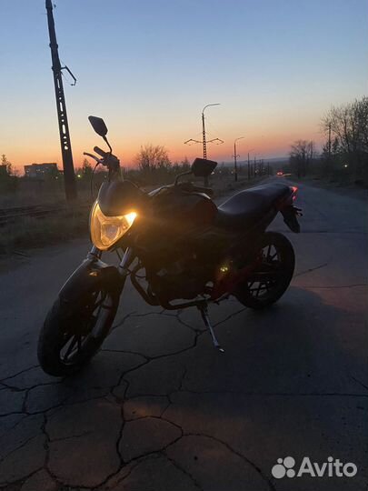 Winner 250
