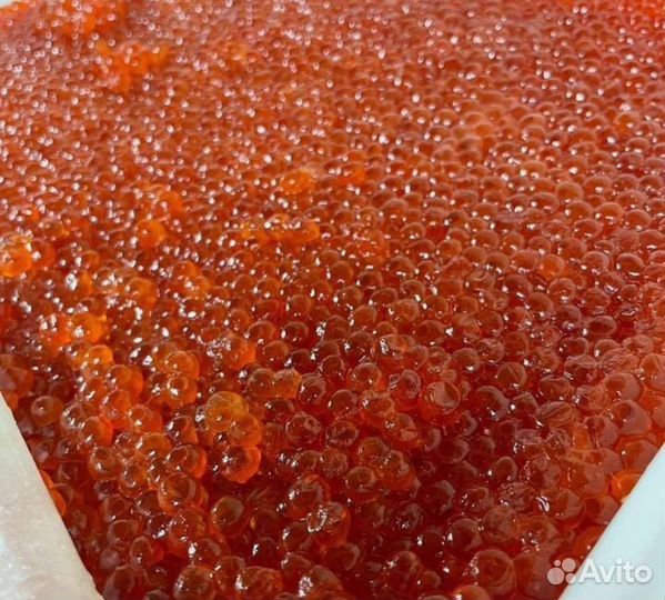 Икра красная опт и розница