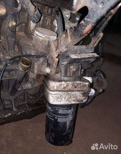 Радиатор масляный Audi A3 8L 1999