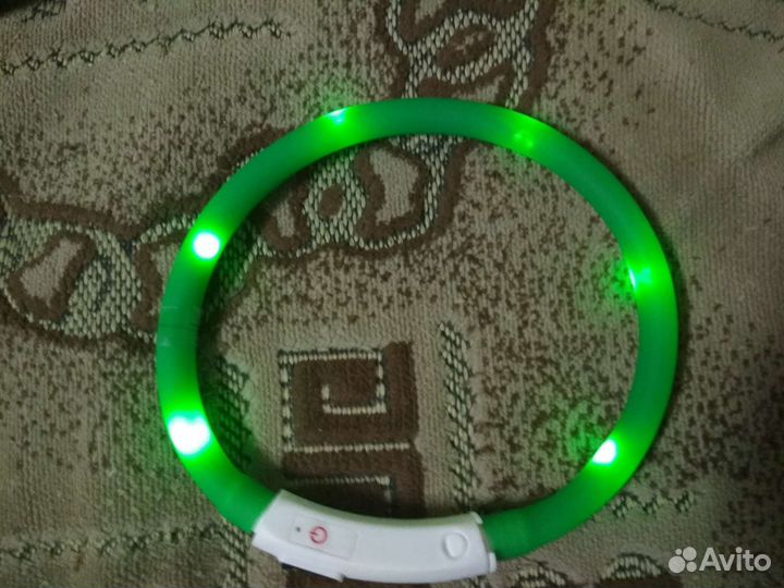 Светящаяся ошейник