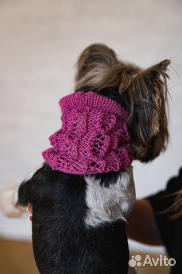 Одежда для собак вязаная ручная работа