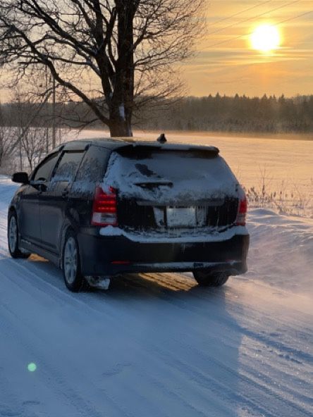 Toyota Wish: фото владельца