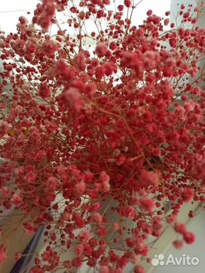 Розы засушенные, гипсофила