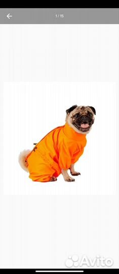 Дождевик для мопса размер М