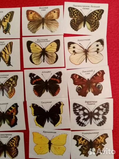 Спичечные этикетки. Бабочки